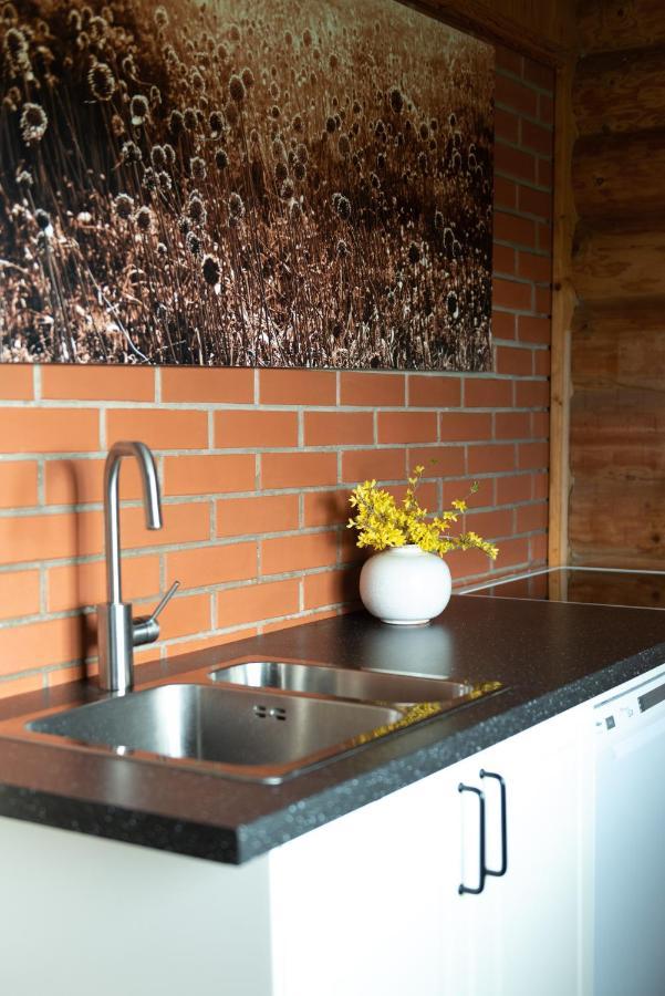 Villa Piesupite Staburags Esterno foto